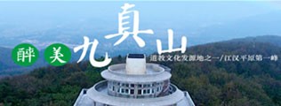 鸡鸡爱逼逼区