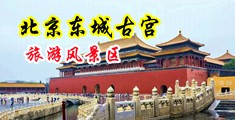 男生操女生B在线网站中国北京-东城古宫旅游风景区